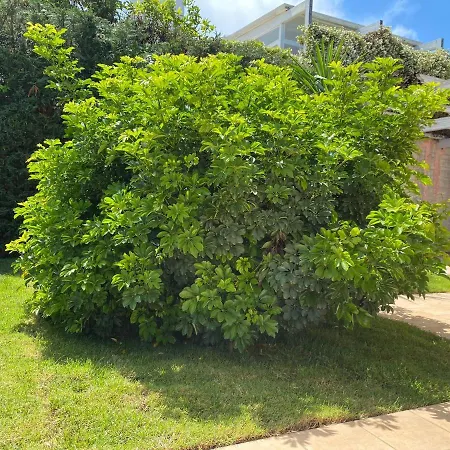 Pensjonat Giulio Polignano 4*