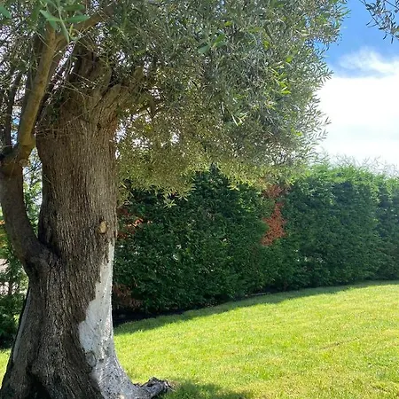 Giulio Polignano Pensjonat 4*