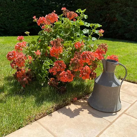 Giulio Polignano 4* Polignano a Mare