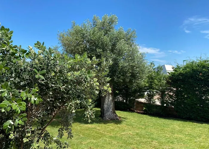 Giulio Polignano Pensión 4*