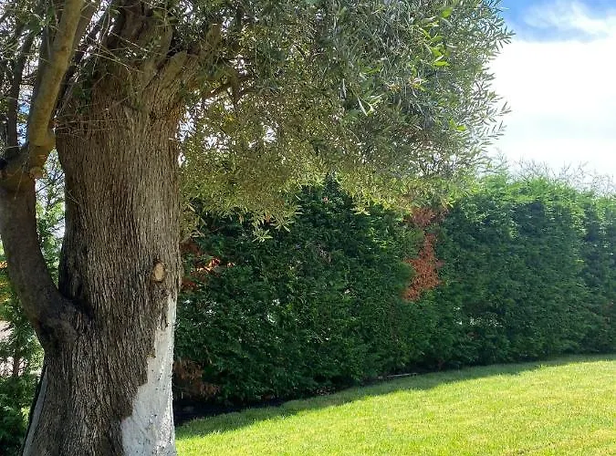 Giulio Polignano Pensión 4*