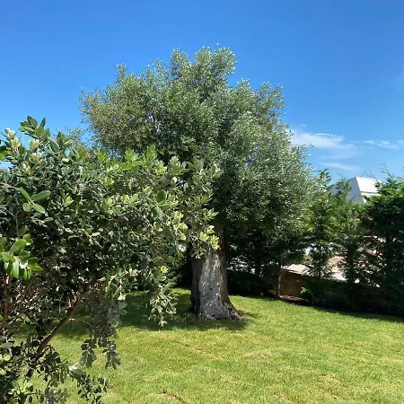 Giulio Polignano Maison d'hôtes 4*