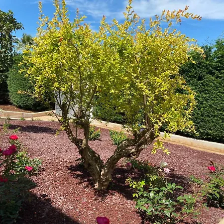 Giulio Polignano Maison d'hôtes Polignano a Mare
