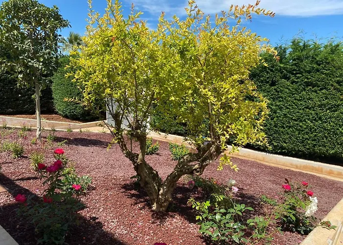 Giulio Polignano 招待所 滨海波利尼亚诺