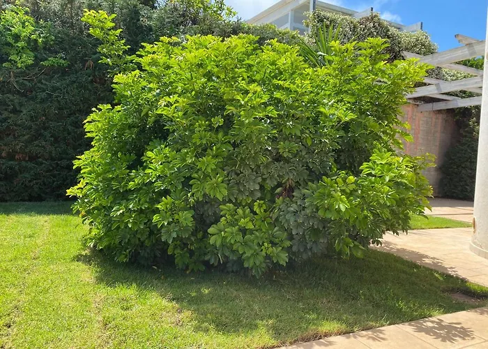 招待所 Giulio Polignano 4*